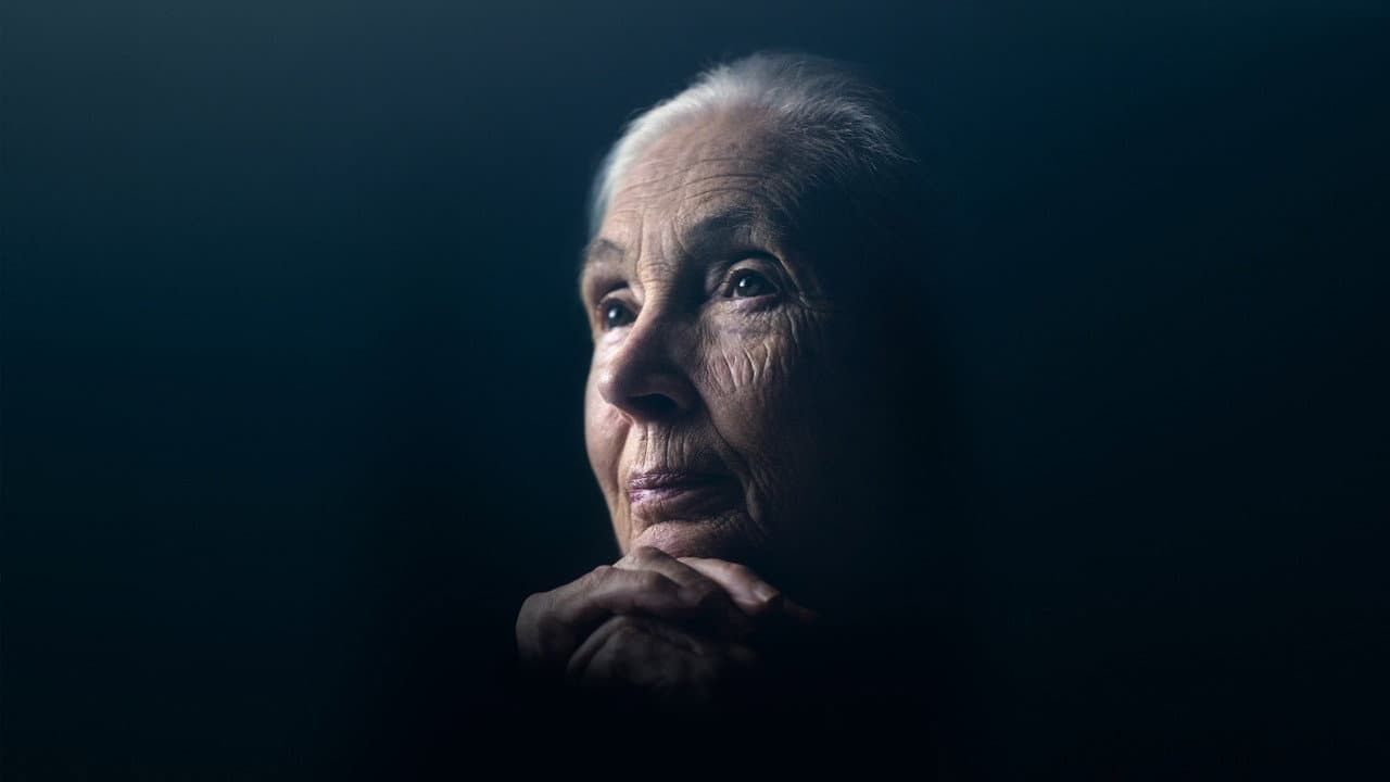 Szene aus Jane Goodall: Hoffnung