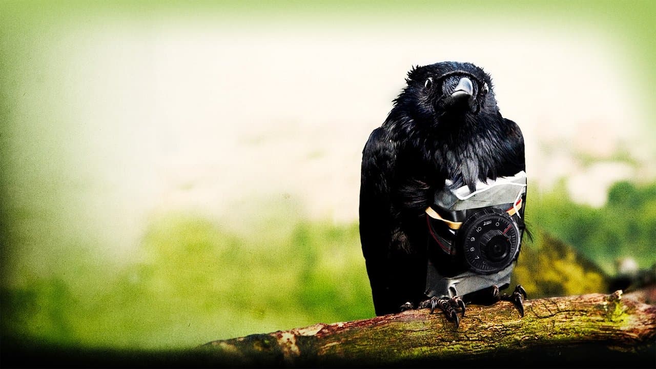 Szene aus Four Lions