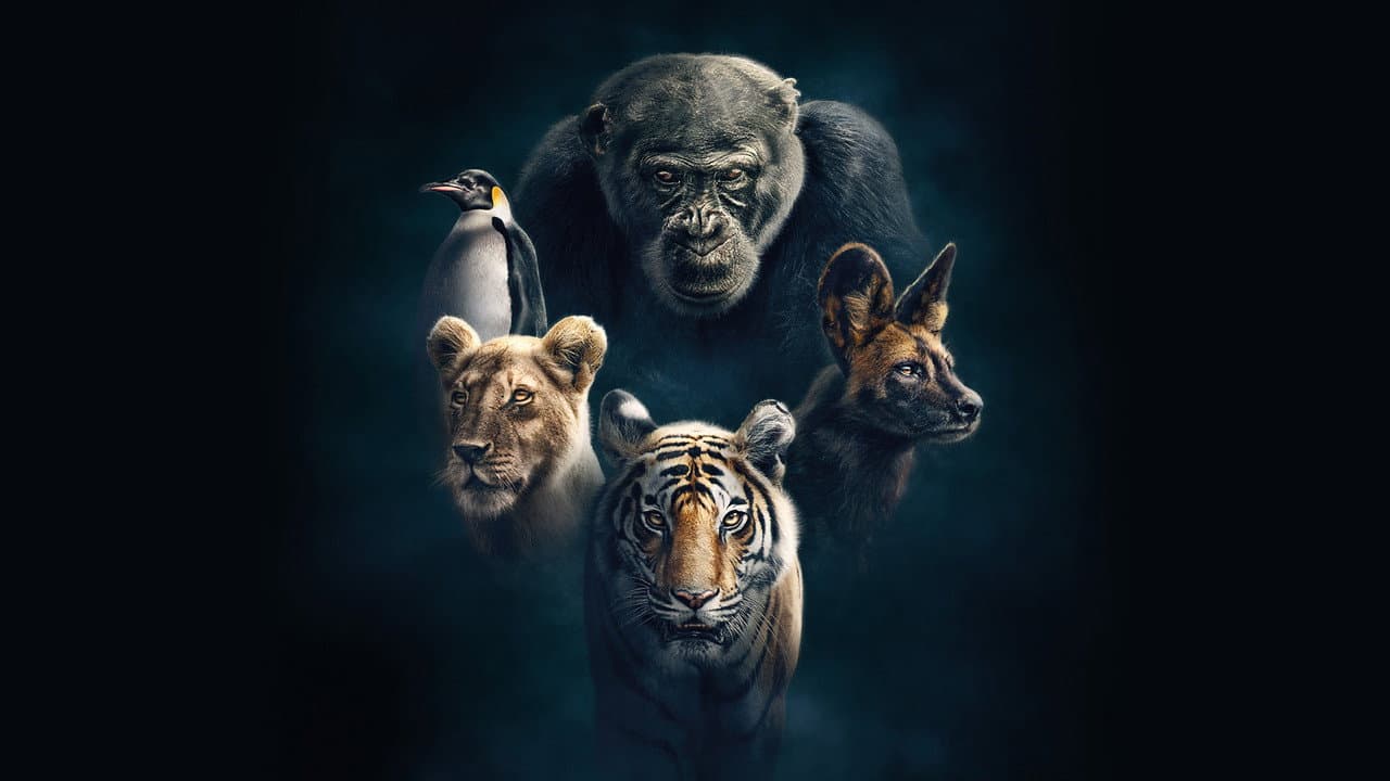 Szene aus Wilde Dynastien: Die Clans der Tiere