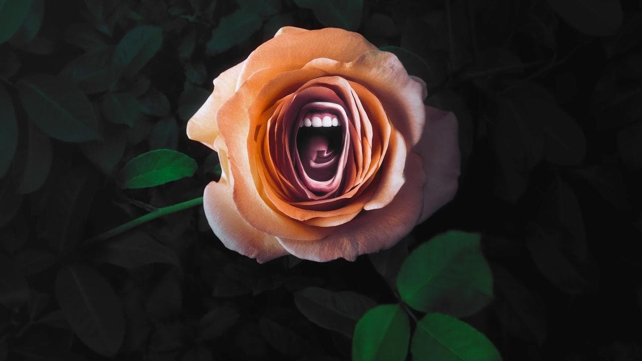 Szene aus ROAR – Frauen, die ihre Stimme erheben