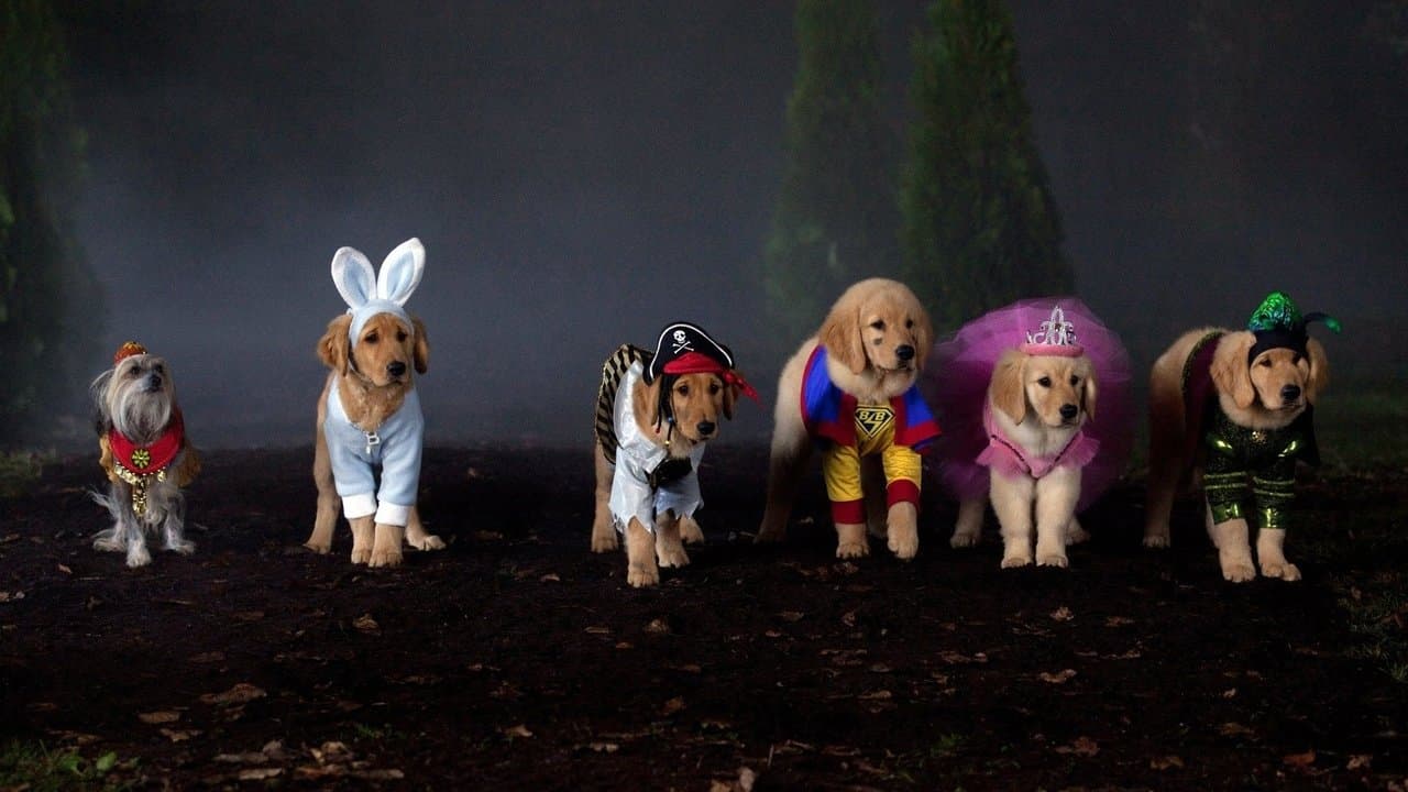 Szene aus Spooky Buddies - Der Fluch des Hallowuff-Hunds
