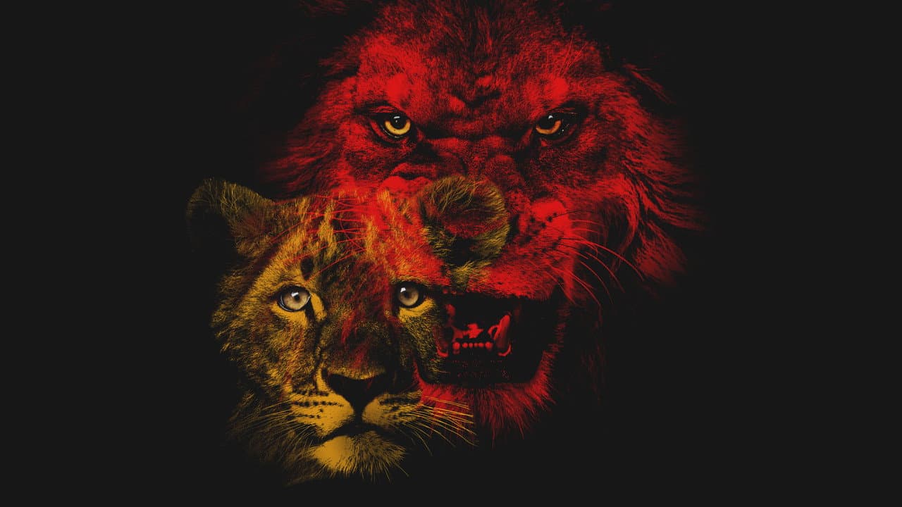 Szene aus Savage Kingdom
