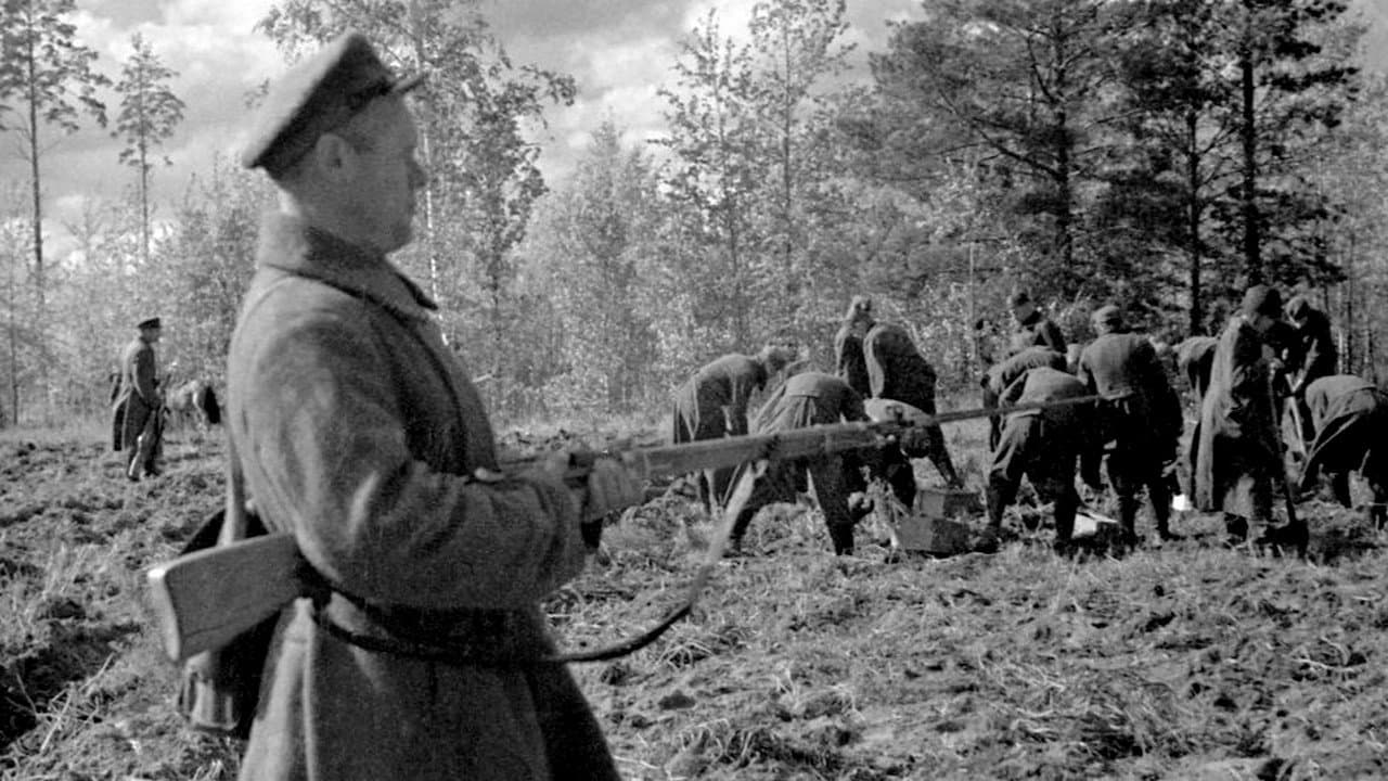 Szene aus Stalins Henker. Das Massaker von Katyn