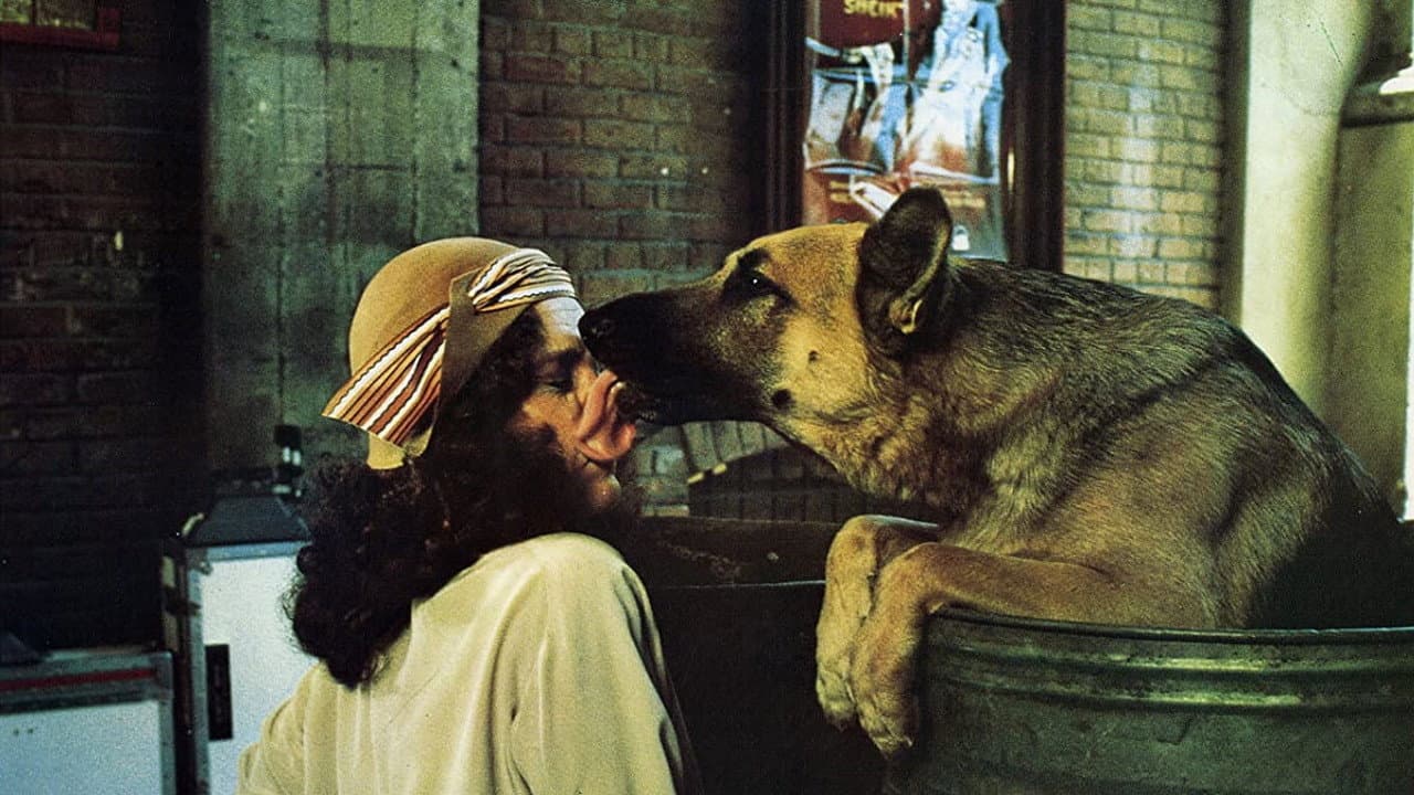 Szene aus Won Ton Ton, der Hund der Hollywood rettete