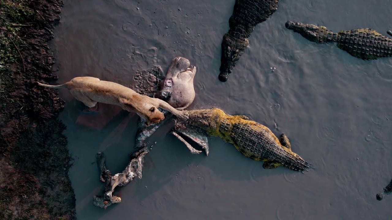 Szene aus Katavi Africa's Fallen Paradise