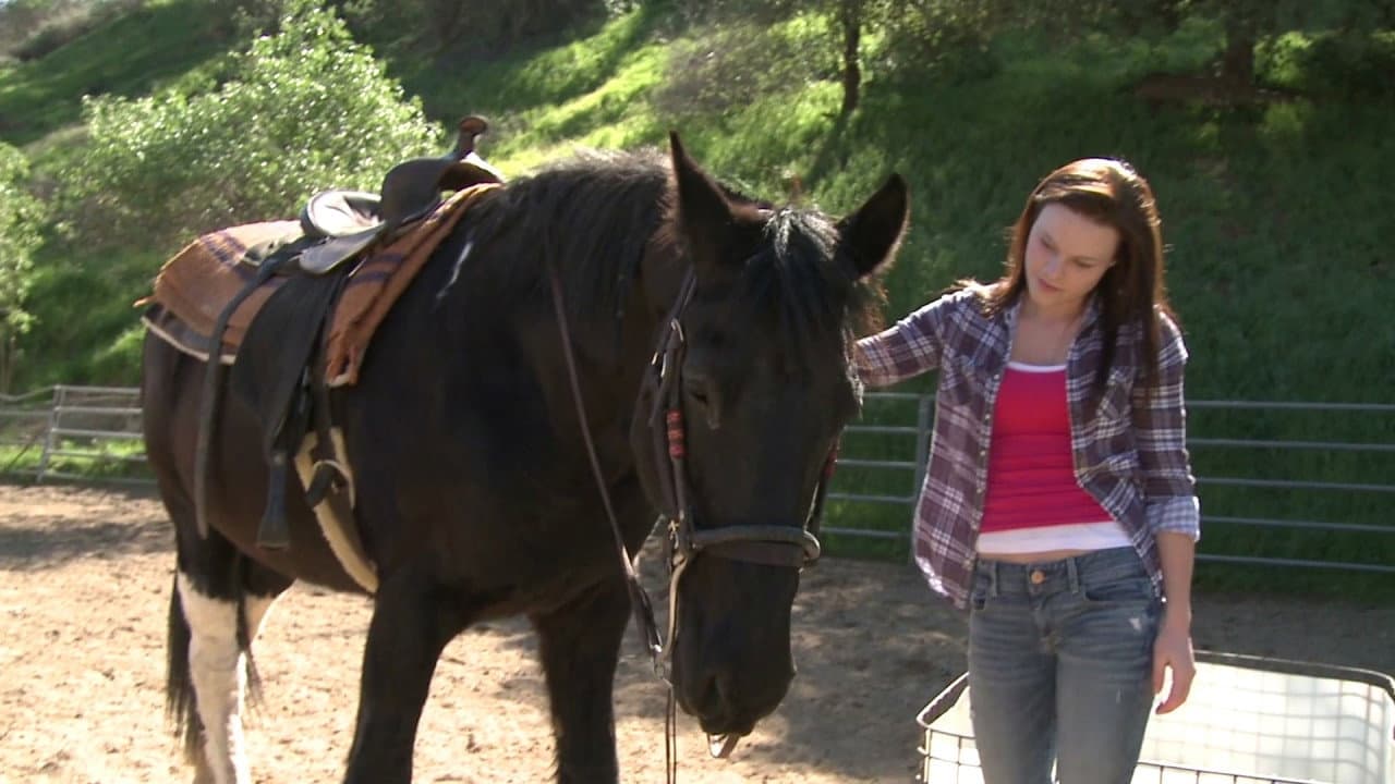 Szene aus Das Geheimnis des Ponys