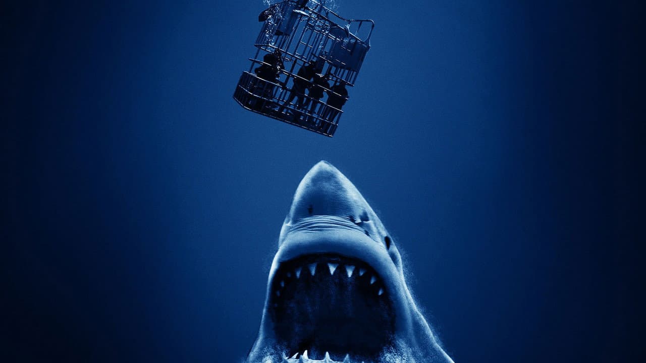 Szene aus Open Water - Cage Dive