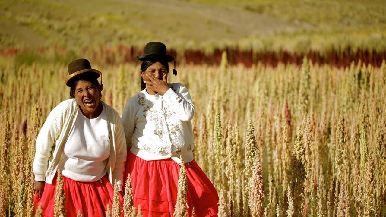 Szene aus Gastons Küche - Aus Peru in die Welt