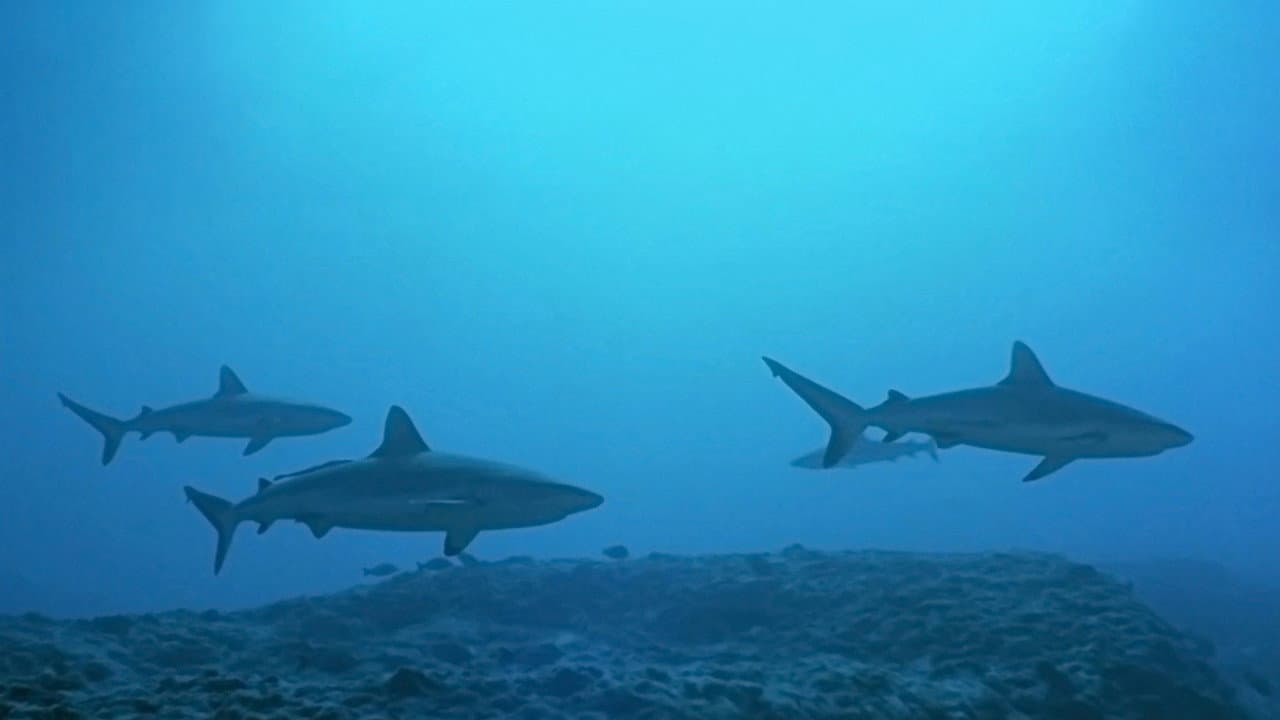 Szene aus Atlantis
