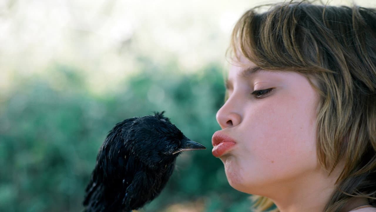 Szene aus Kauwboy - Kleiner Vogel, großes Glück