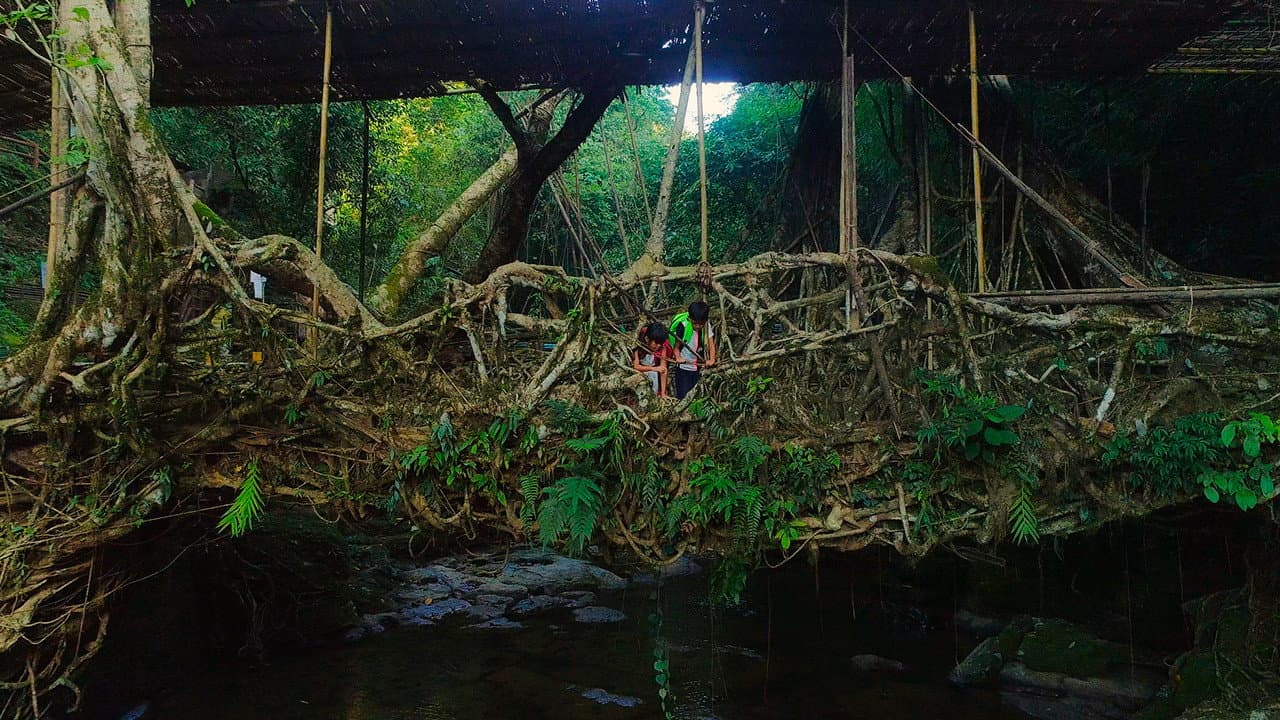 Szene aus For Tomorrow - the Documentary