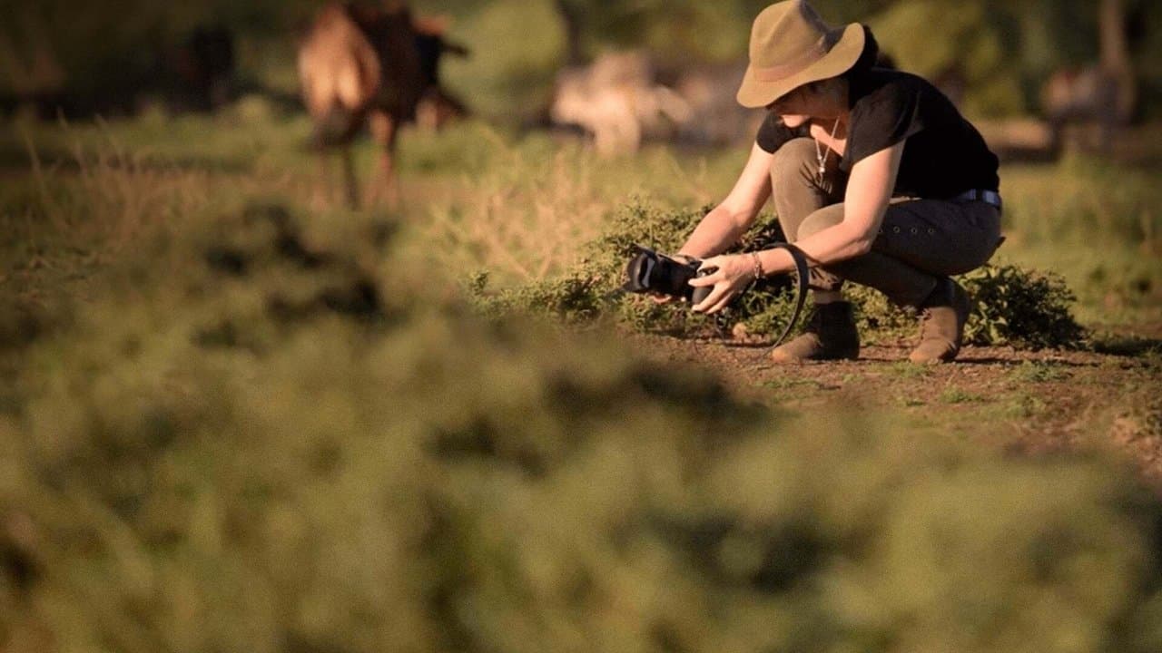 Szene aus Frauen: Vom Mut die Welt zu verändern