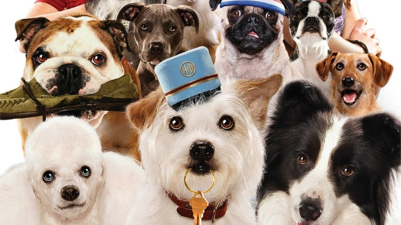 Szene aus Das Hundehotel