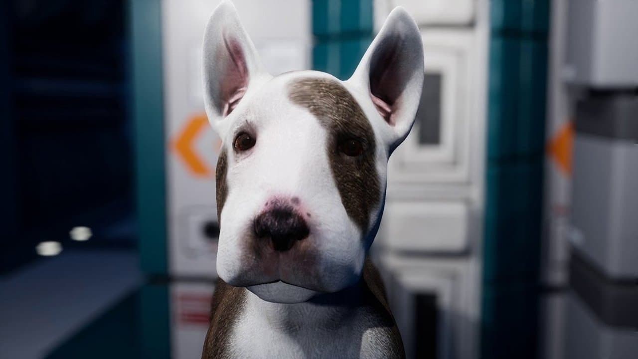 Szene aus Dog Patrol - Das gefallene Königreich der Knochen