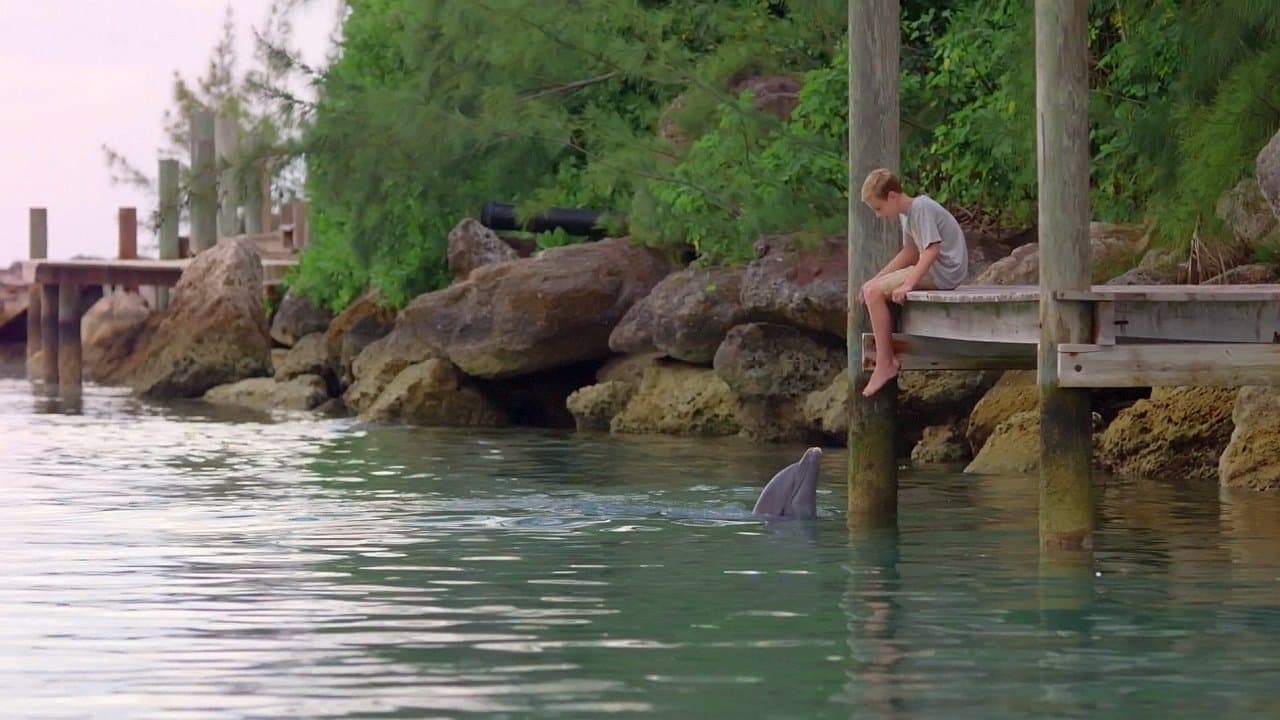 Szene aus Echo der Delphin