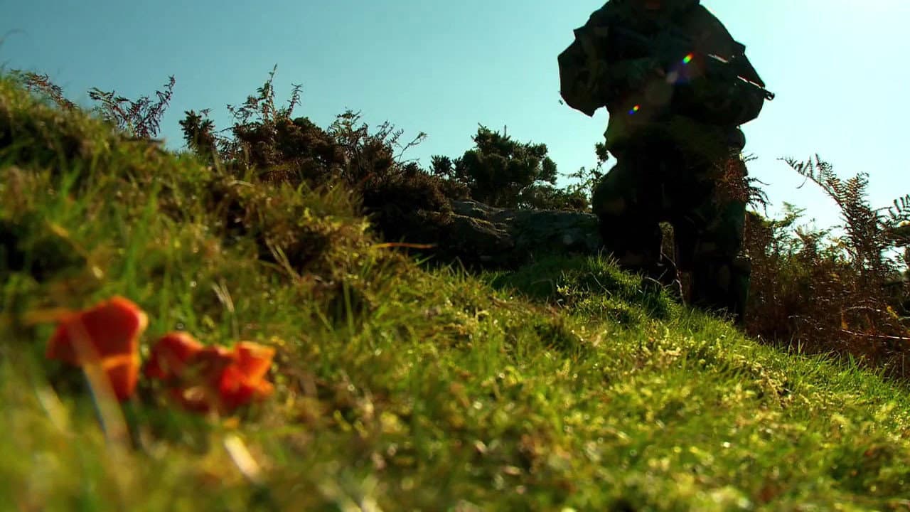 Szene aus Dartmoor Beast
