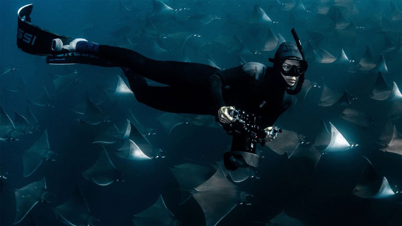 Szene aus Deep Dive North America