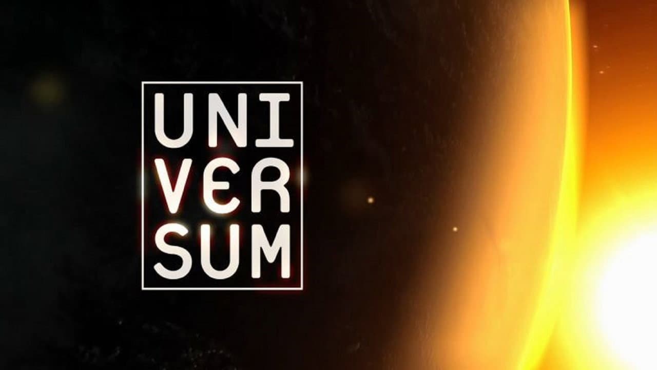 Szene aus Universum
