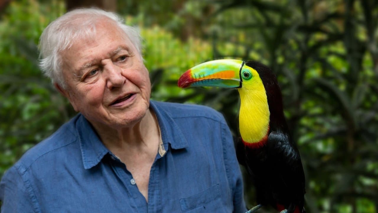 Szene aus Das Leben in Farbe mit David Attenborough