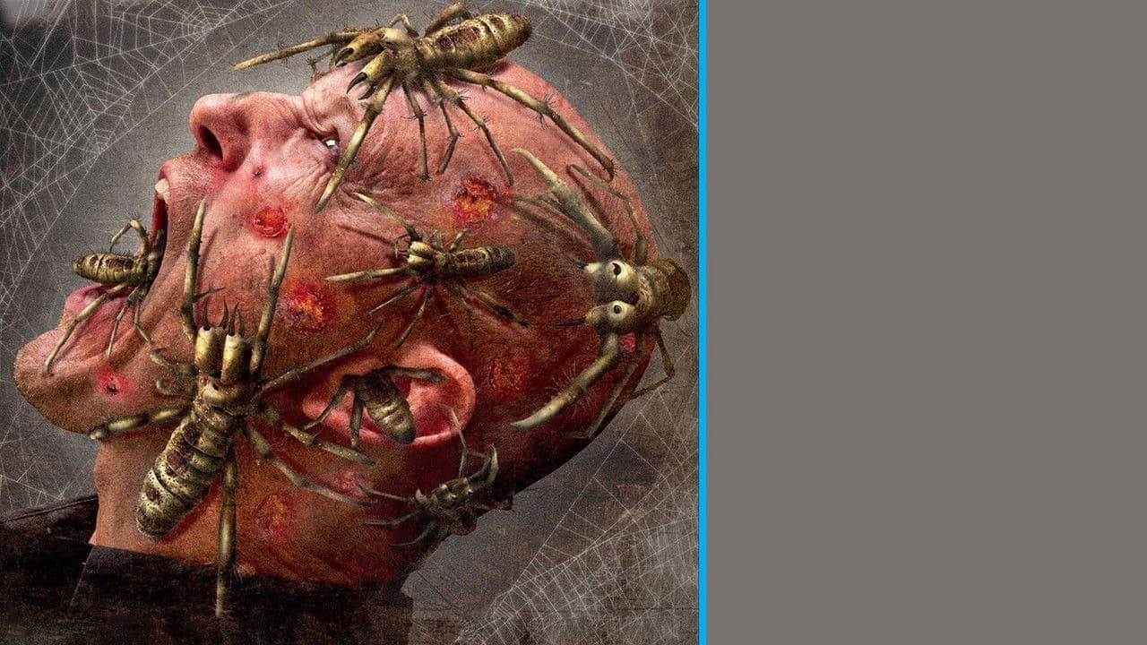 Szene aus Camel Spiders - Angriff der Monsterspinnen