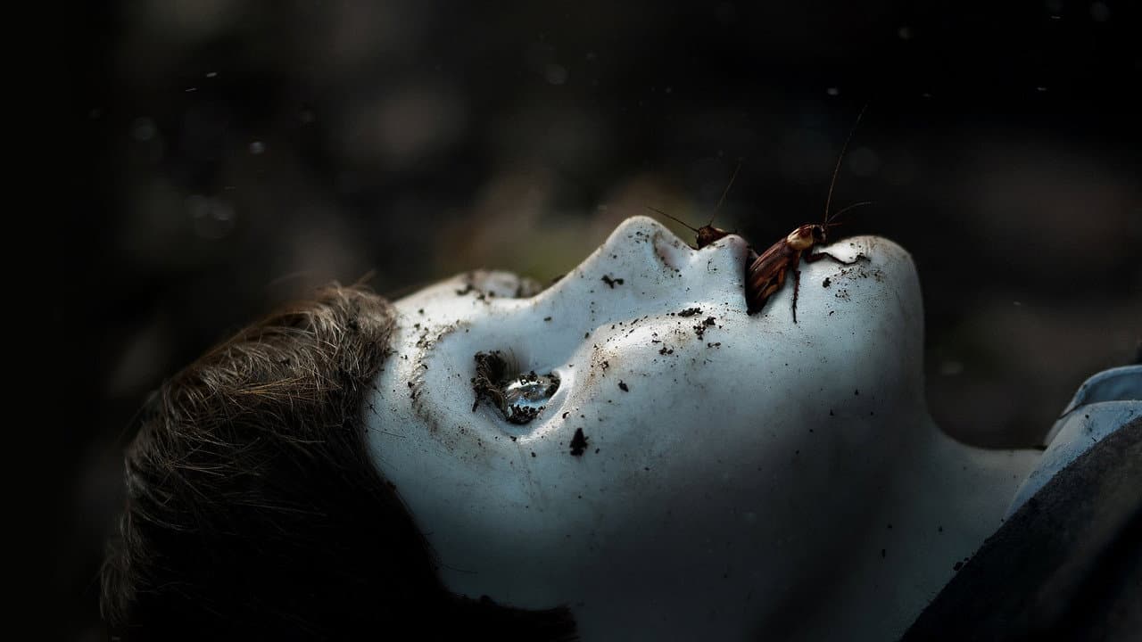 Szene aus Brahms: The Boy II