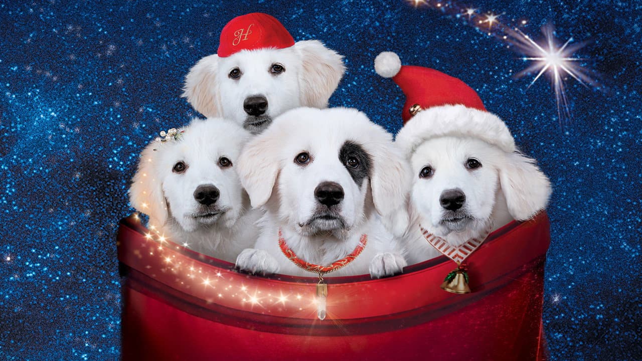 Szene aus Santa Pfote 2 - Die Weihnachts-Welpen
