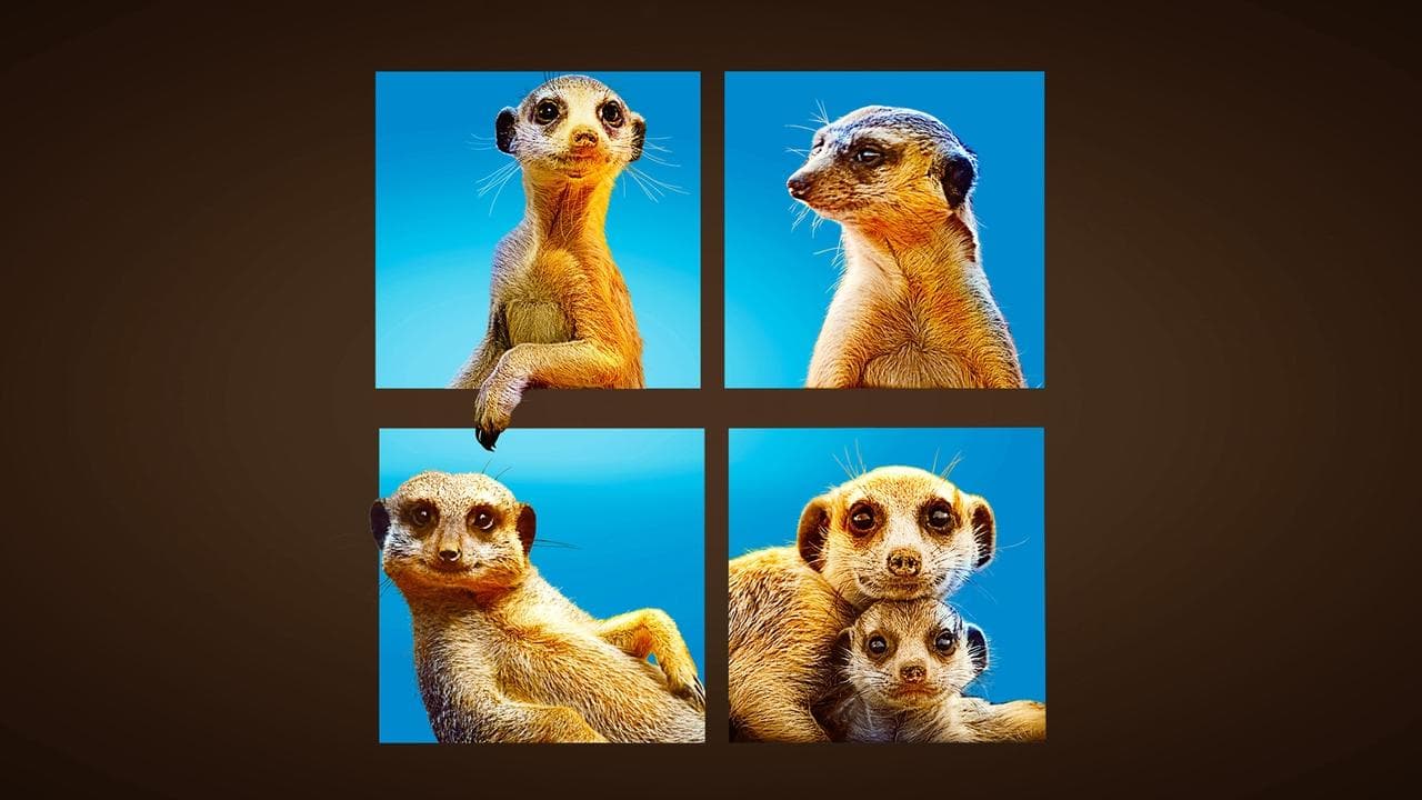 Szene aus Die Kalahari-Gang