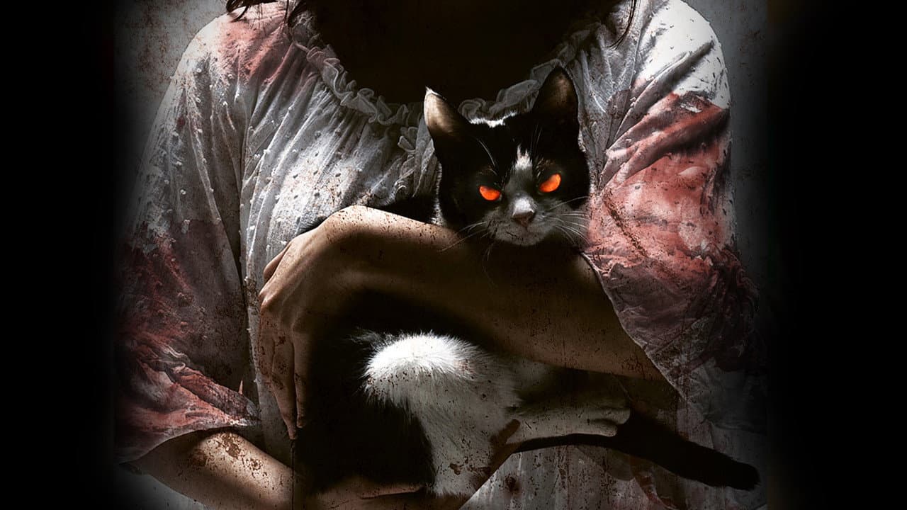 Szene aus The Cat