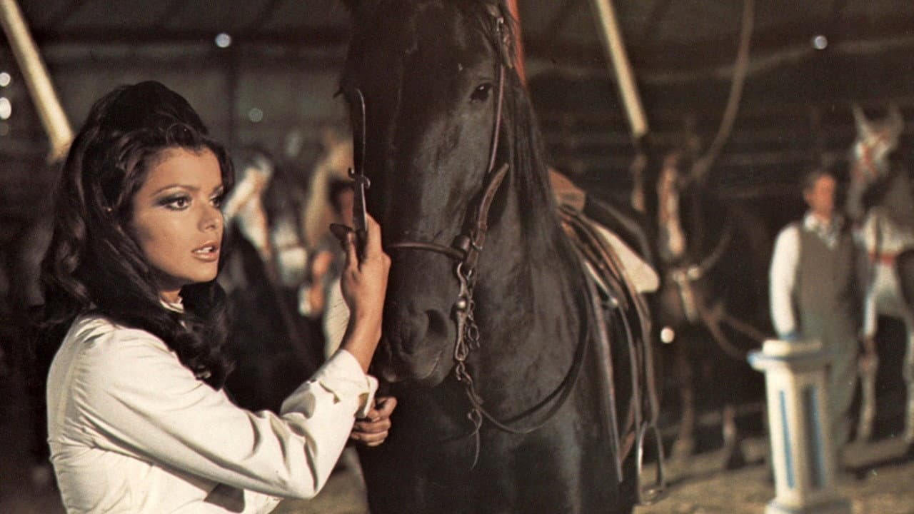 Szene aus Black Beauty