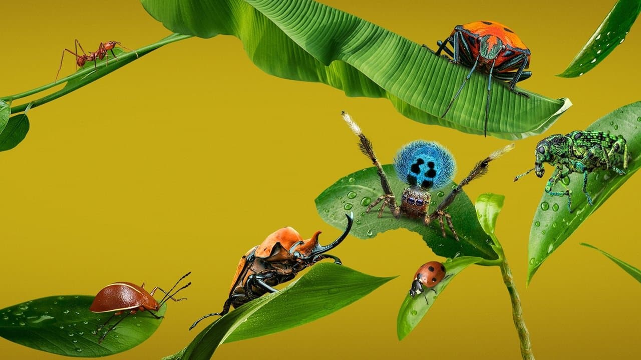 Szene aus Das echte große Krabbeln