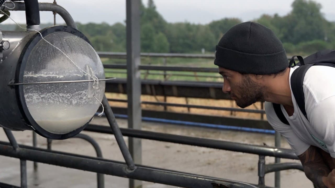 Szene aus Milked
