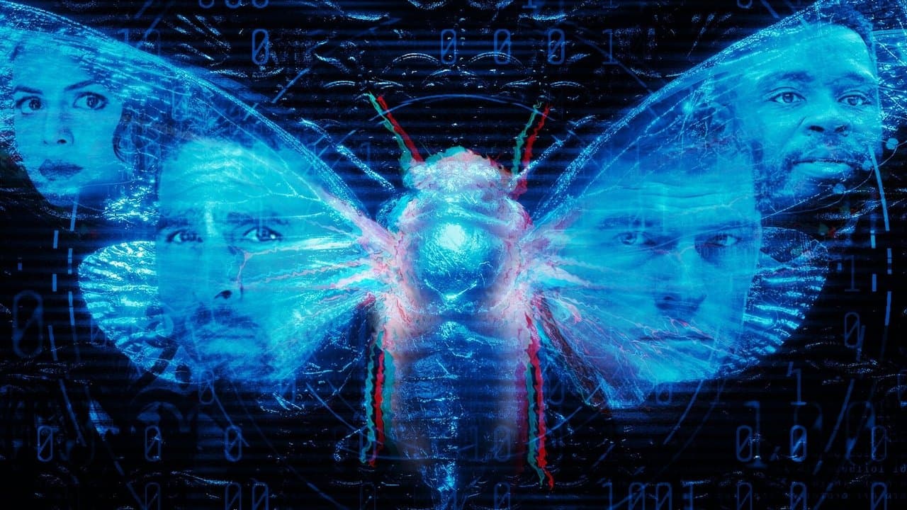 Szene aus Dark Web: Cicada 3301