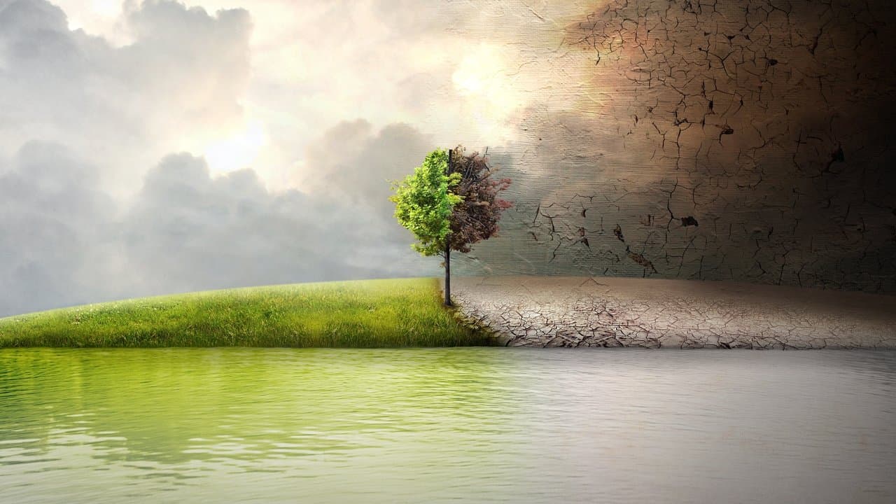 Szene aus Before the Flood