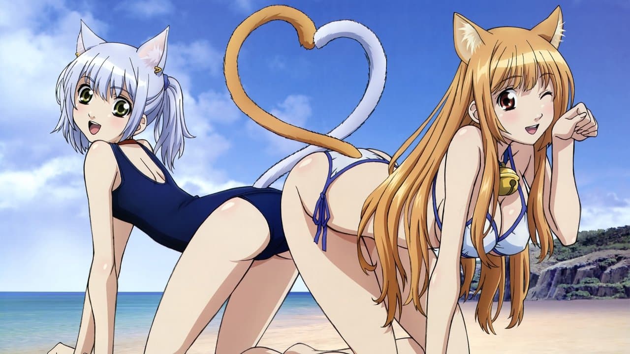 Szene aus Cat Planet Cuties