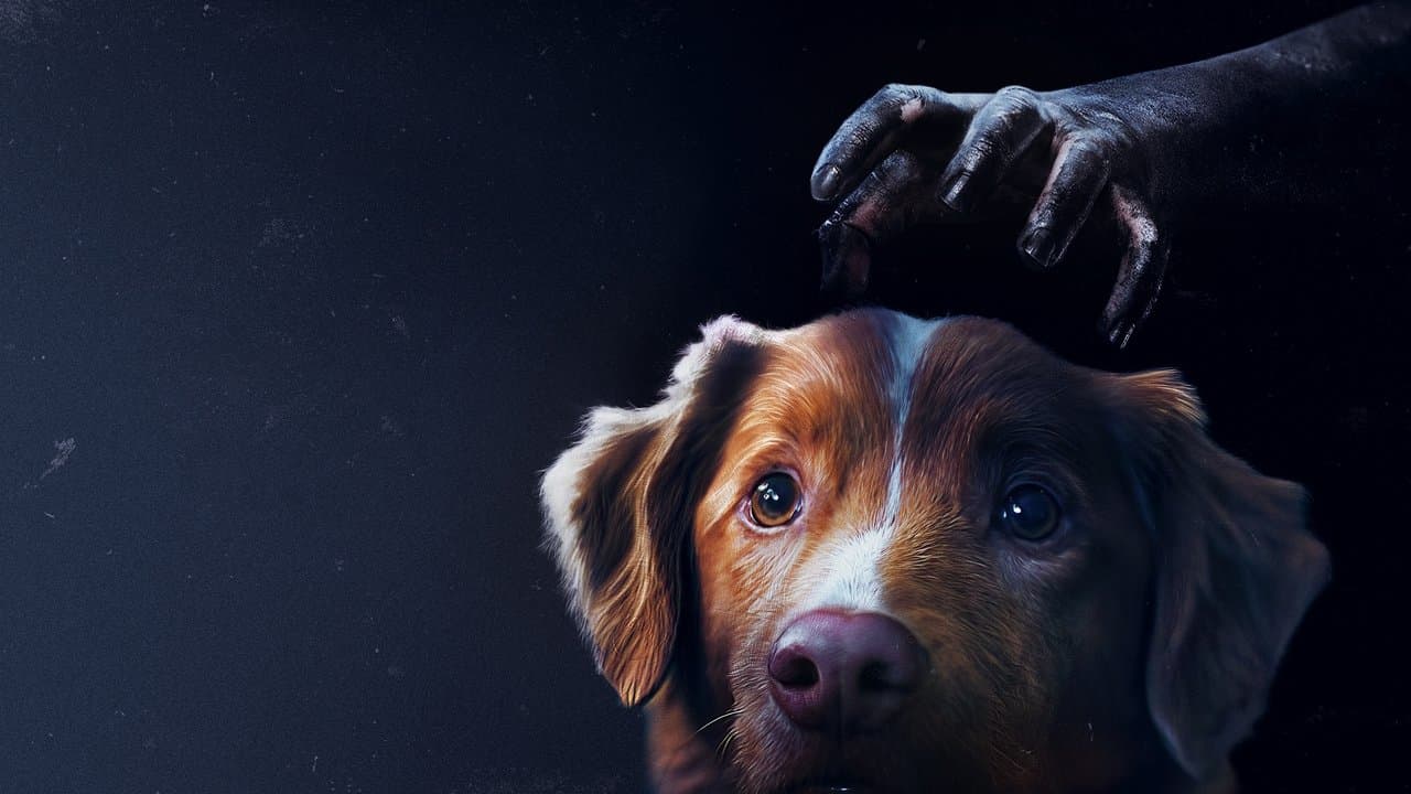 Szene aus Good Boy - Trust His Instincts