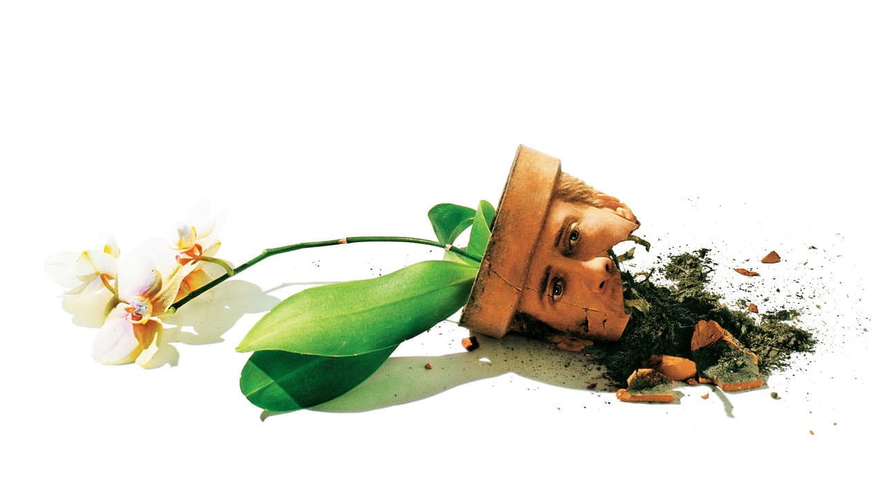 Szene aus Adaption - Der Orchideen-Dieb