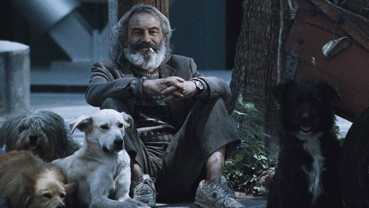 Szene aus Amores perros