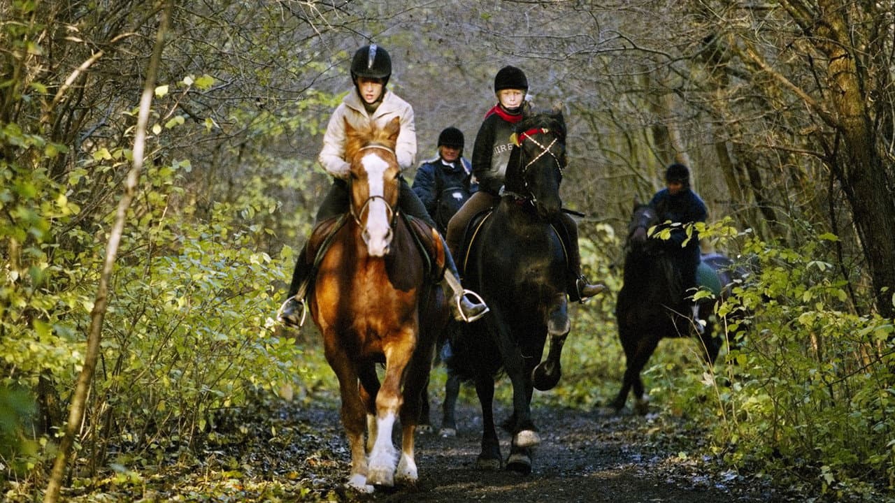 Szene aus Zafir - Der schwarze Hengst