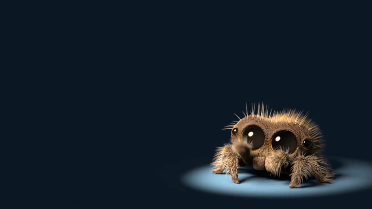 Szene aus Lukas, die Spinne