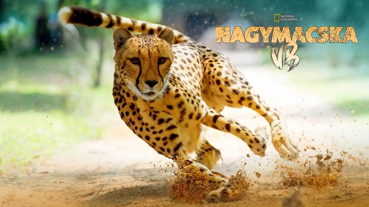 Szene aus Big Cat Games