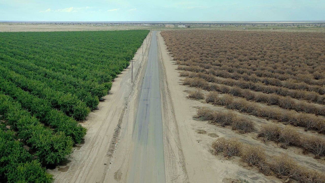 Szene aus Kalifornien: Wasser und Macht