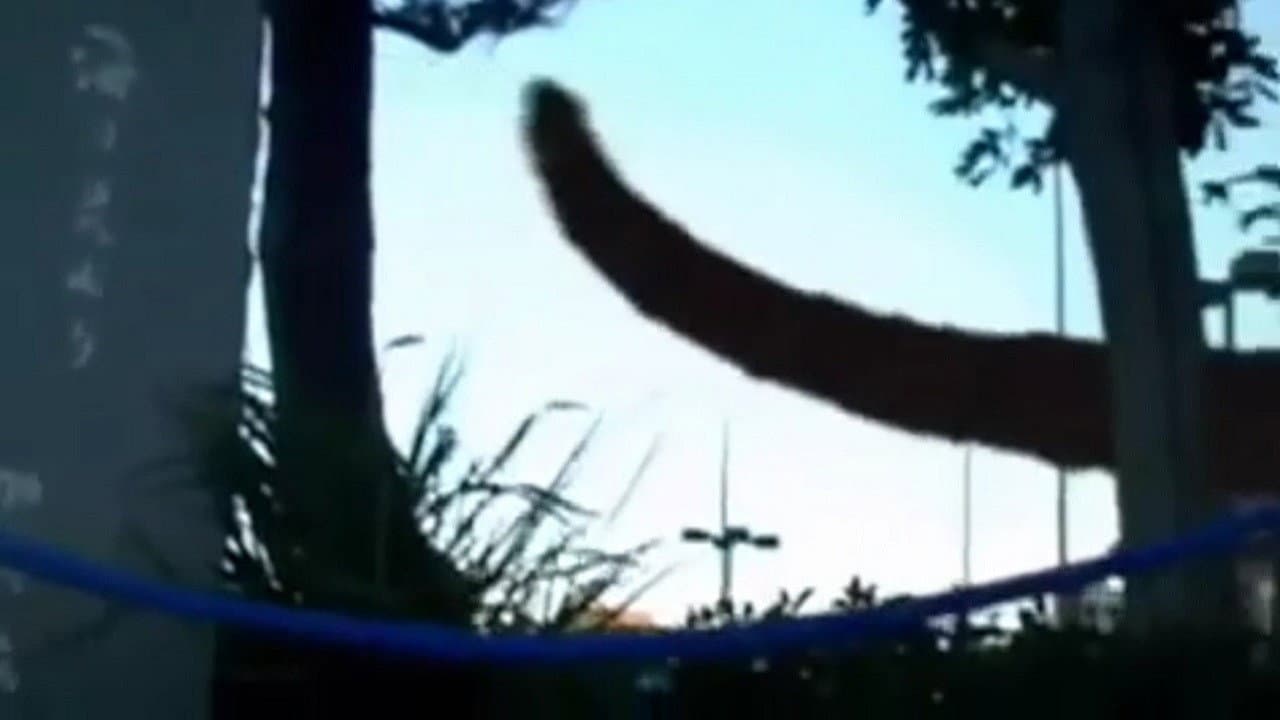 Szene aus Monster