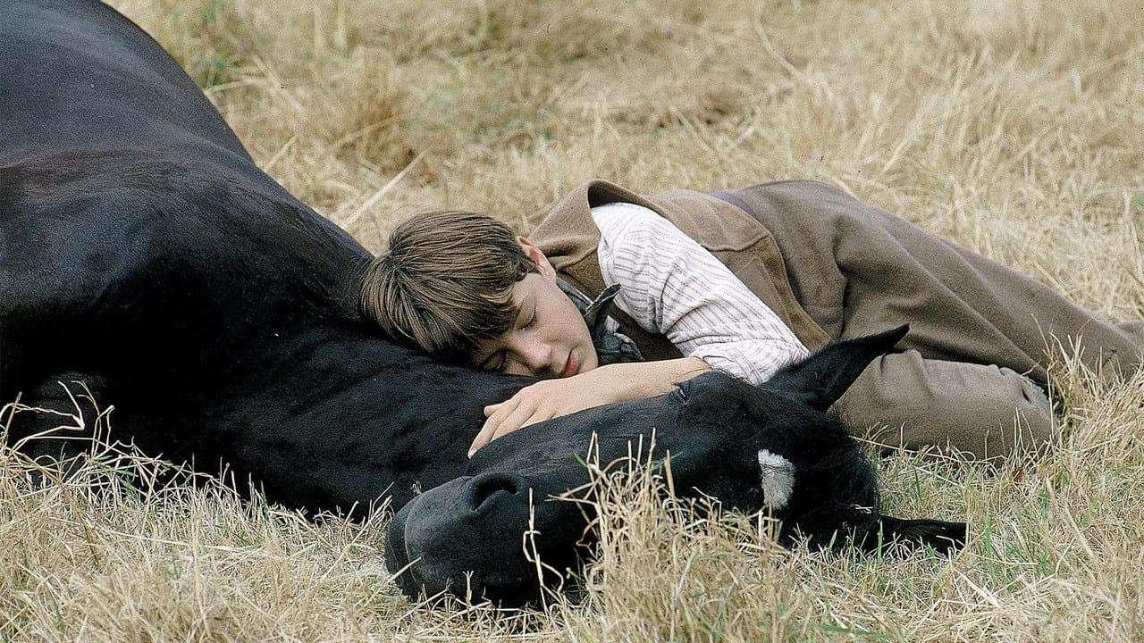 Szene aus Black Beauty