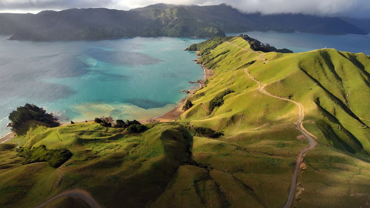 Szene aus Neuseeland aus der Luft