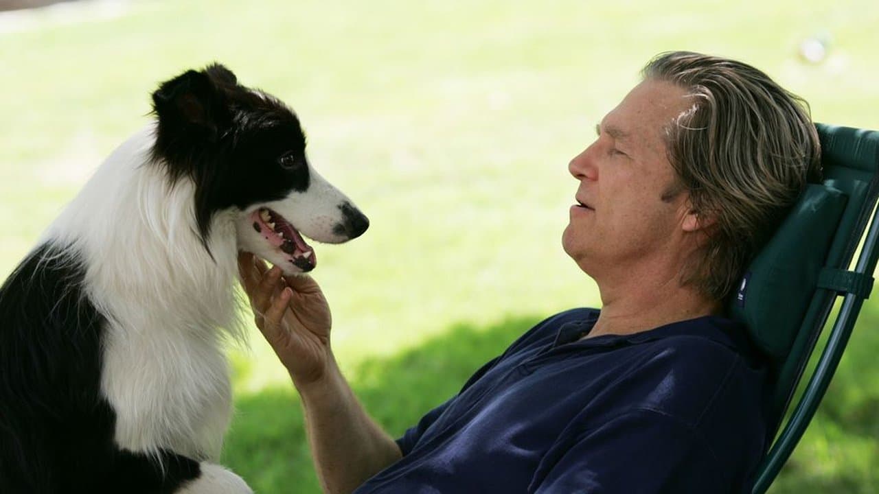 Szene aus A Dog Year