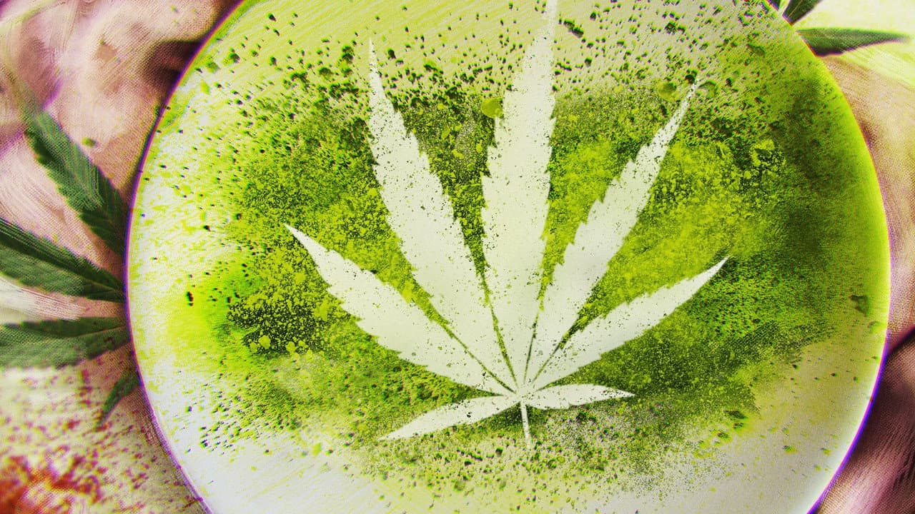Szene aus Cooked With Cannabis