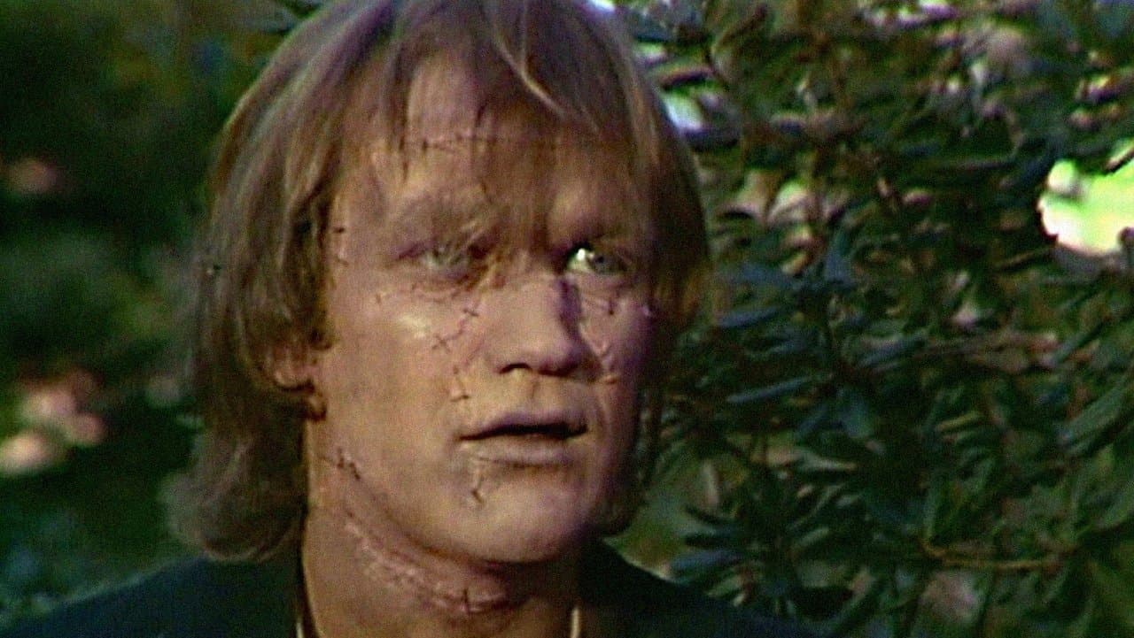 Szene aus Frankenstein