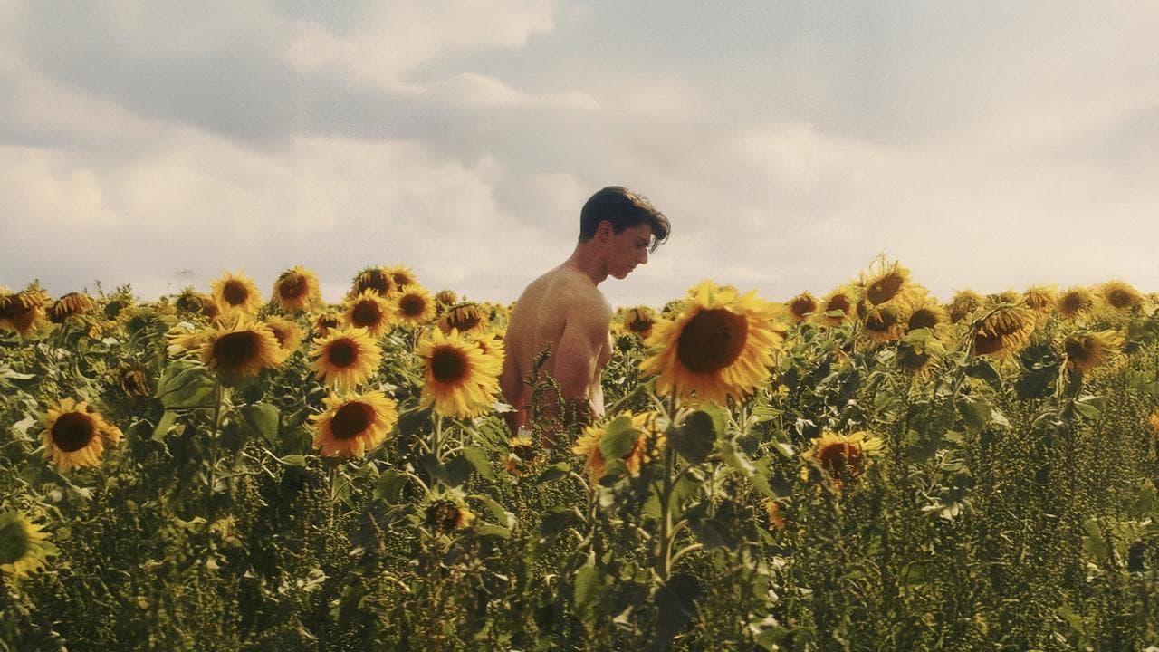 Szene aus Sunflower