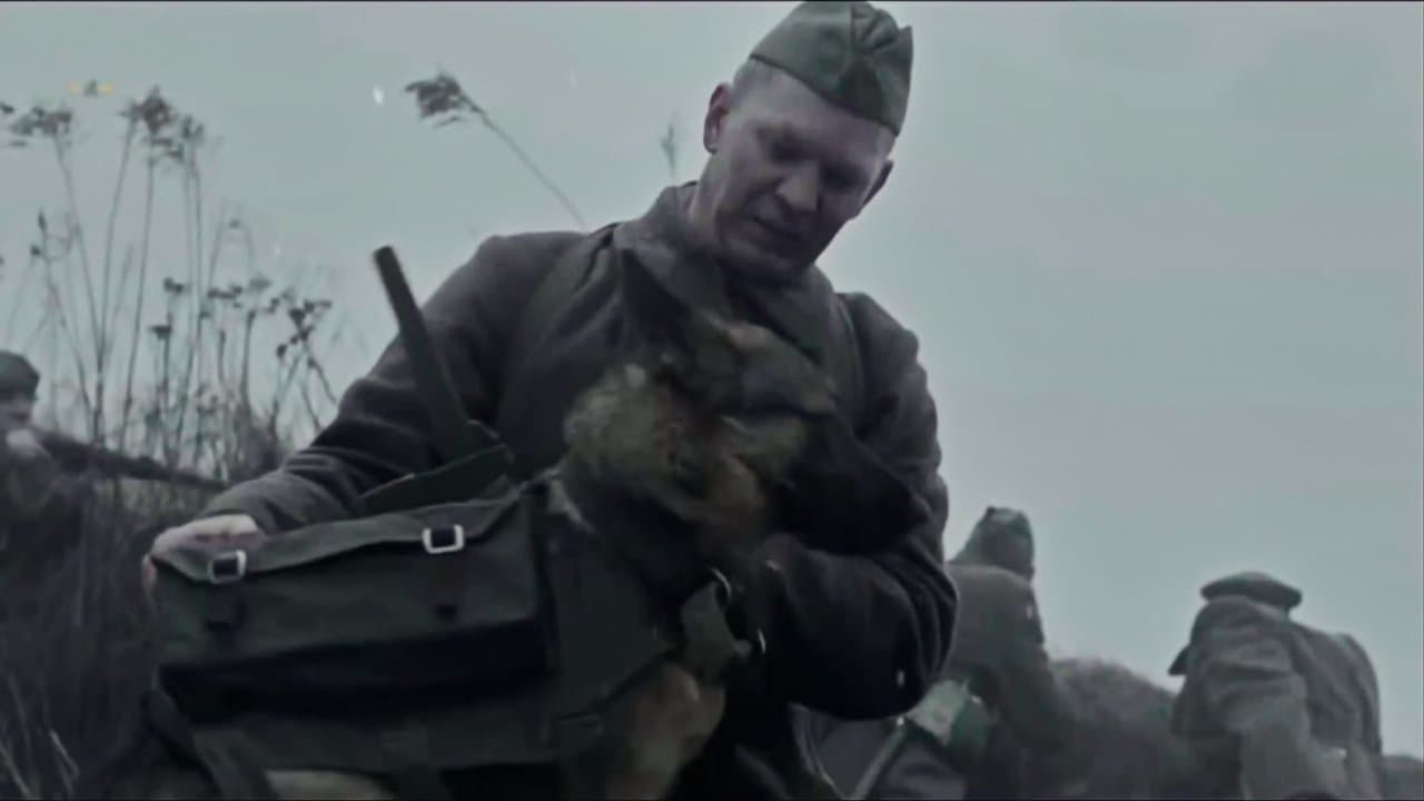 Szene aus The War Dog