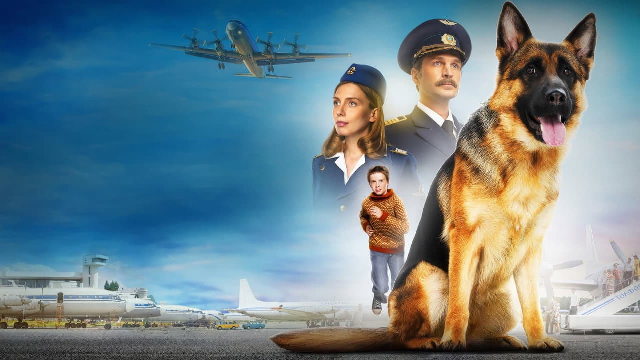 Szene aus Ein Hund namens Palma
